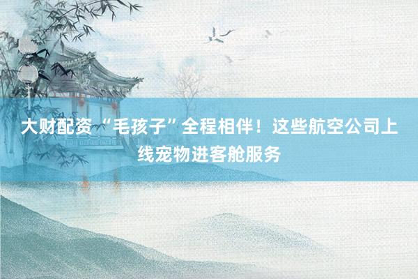 大财配资 “毛孩子”全程相伴！这些航空公司上线宠物进客舱服务