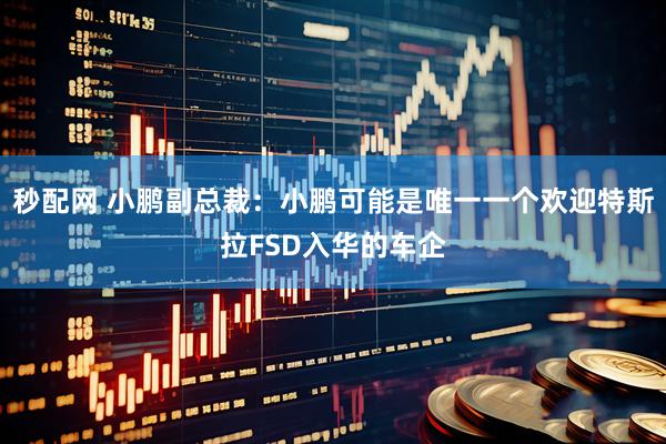 秒配网 小鹏副总裁：小鹏可能是唯一一个欢迎特斯拉FSD入华的车企